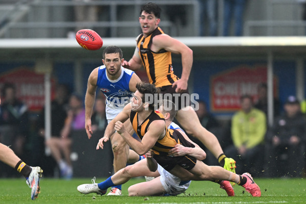 AFL 2024 Round 24 - Hawthorn v North Melbourne - A-53342031