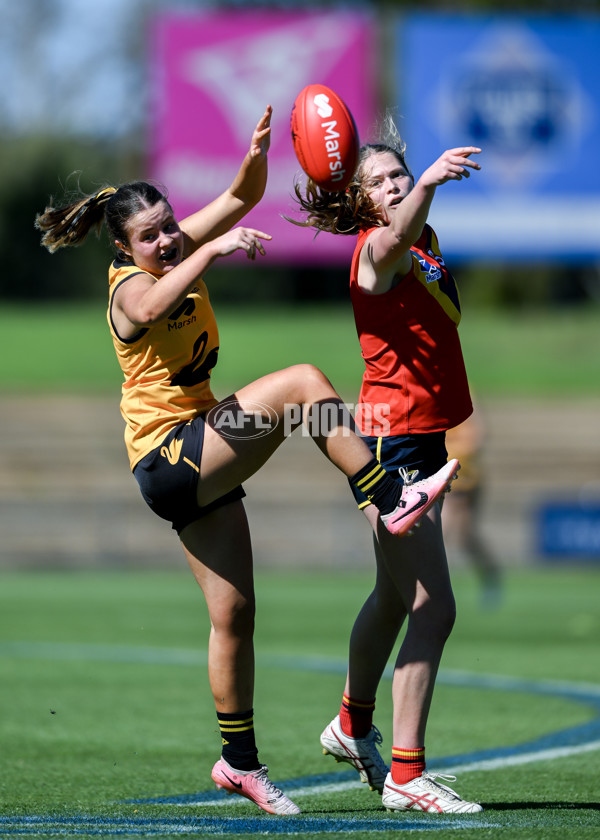 Marsh AFL Championships U18 Girls 2024 - South Australia v Western Australia - A-53343151