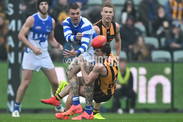 AFL 2024 Round 24 - Hawthorn v North Melbourne - A-53343153