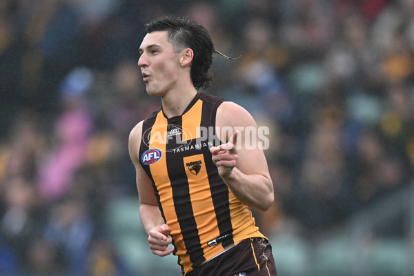 AFL 2024 Round 24 - Hawthorn v North Melbourne - A-53343160