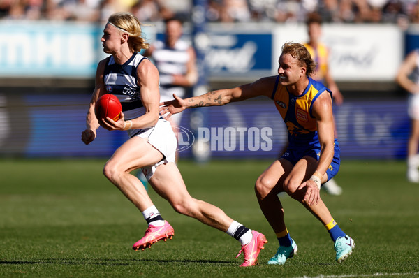 AFL 2024 Round 24 - Geelong v West Coast - A-53343176