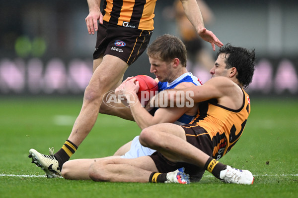 AFL 2024 Round 24 - Hawthorn v North Melbourne - A-53343189