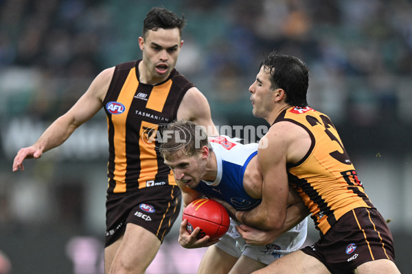 AFL 2024 Round 24 - Hawthorn v North Melbourne - A-53343201