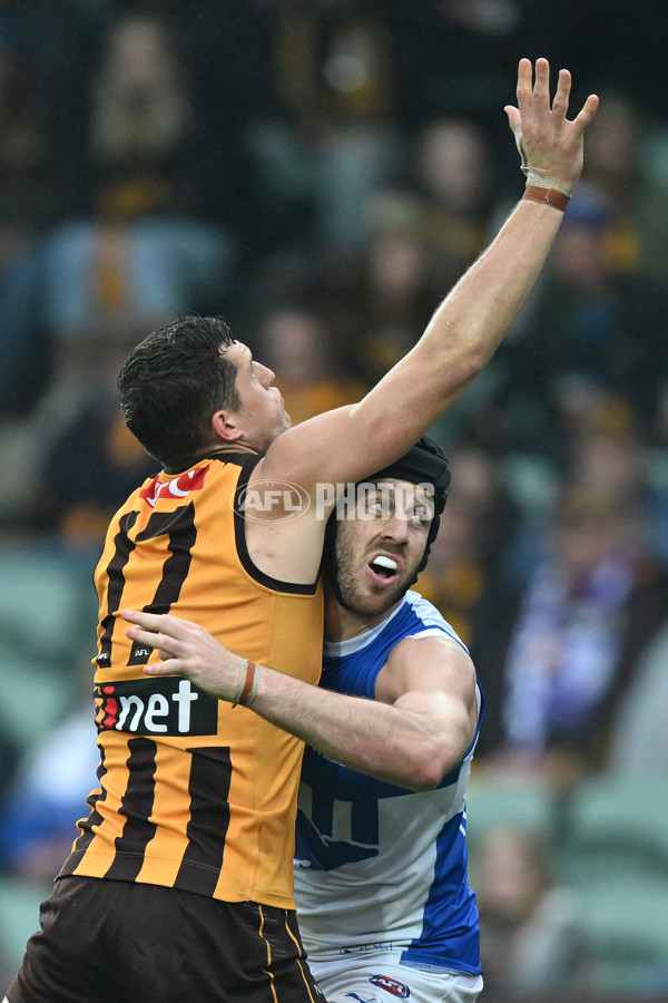 AFL 2024 Round 24 - Hawthorn v North Melbourne - A-53343212