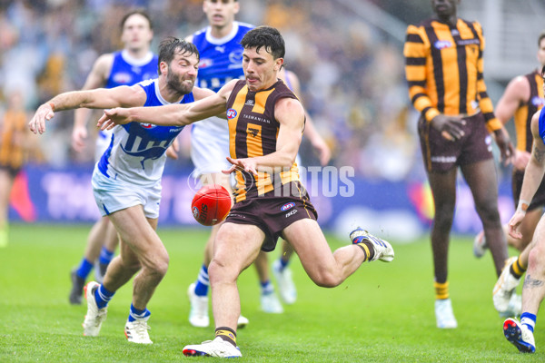 AFL 2024 Round 24 - Hawthorn v North Melbourne - A-53343219