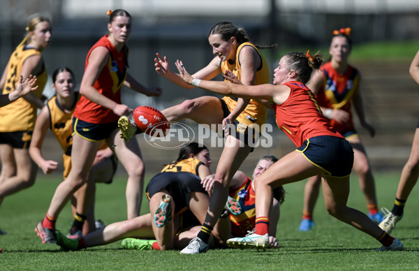 Marsh AFL Championships U18 Girls 2024 - South Australia v Western Australia - A-53344767