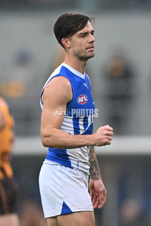 AFL 2024 Round 24 - Hawthorn v North Melbourne - A-53344776