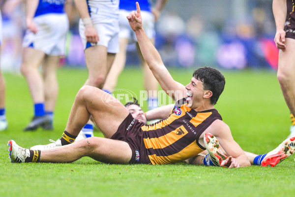 AFL 2024 Round 24 - Hawthorn v North Melbourne - A-53344781