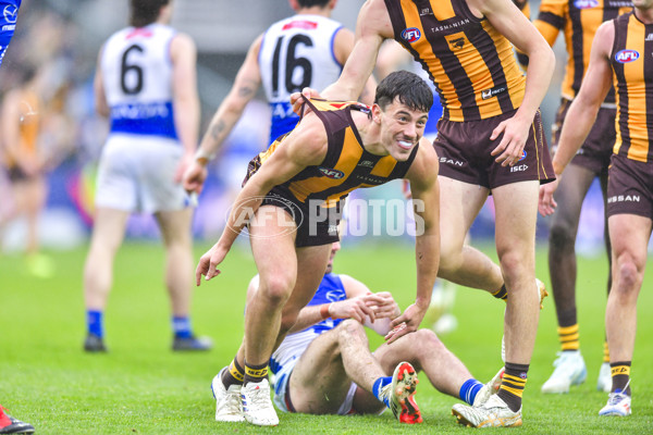 AFL 2024 Round 24 - Hawthorn v North Melbourne - A-53344782