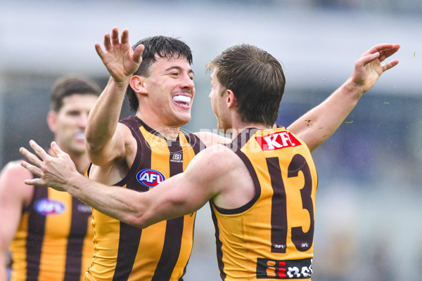 AFL 2024 Round 24 - Hawthorn v North Melbourne - A-53344784