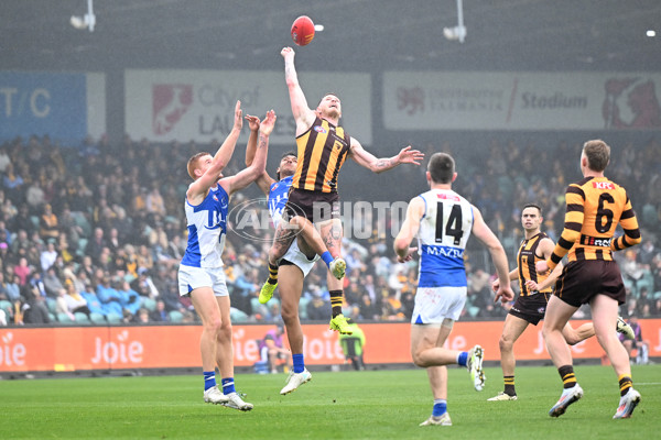 AFL 2024 Round 24 - Hawthorn v North Melbourne - A-53344794