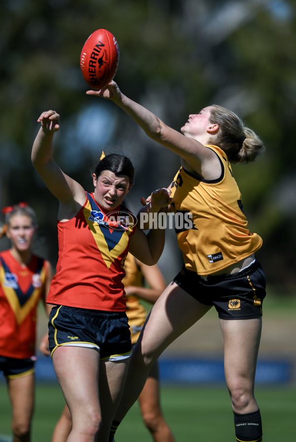 Marsh AFL Championships U18 Girls 2024 - South Australia v Western Australia - A-53344816