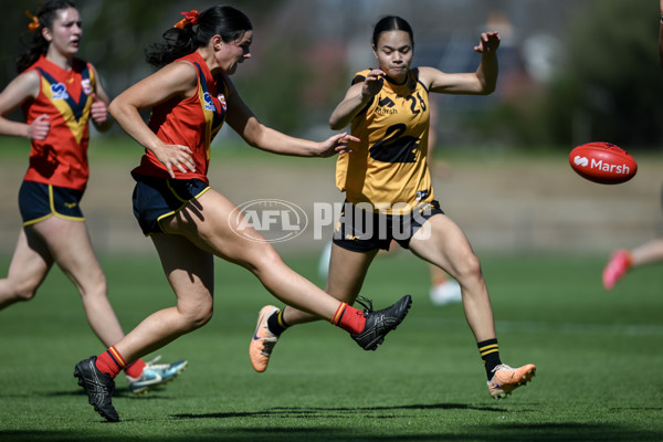 Marsh AFL Championships U18 Girls 2024 - South Australia v Western Australia - A-53344860