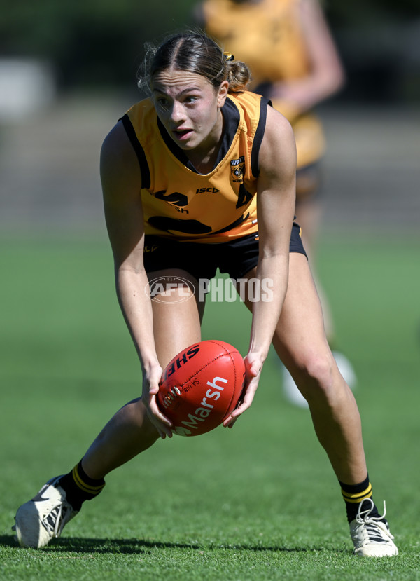 Marsh AFL Championships U18 Girls 2024 - South Australia v Western Australia - A-53344864