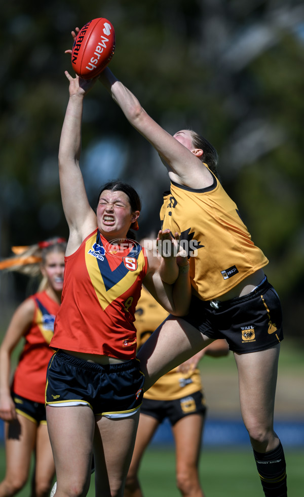 Marsh AFL Championships U18 Girls 2024 - South Australia v Western Australia - A-53346103