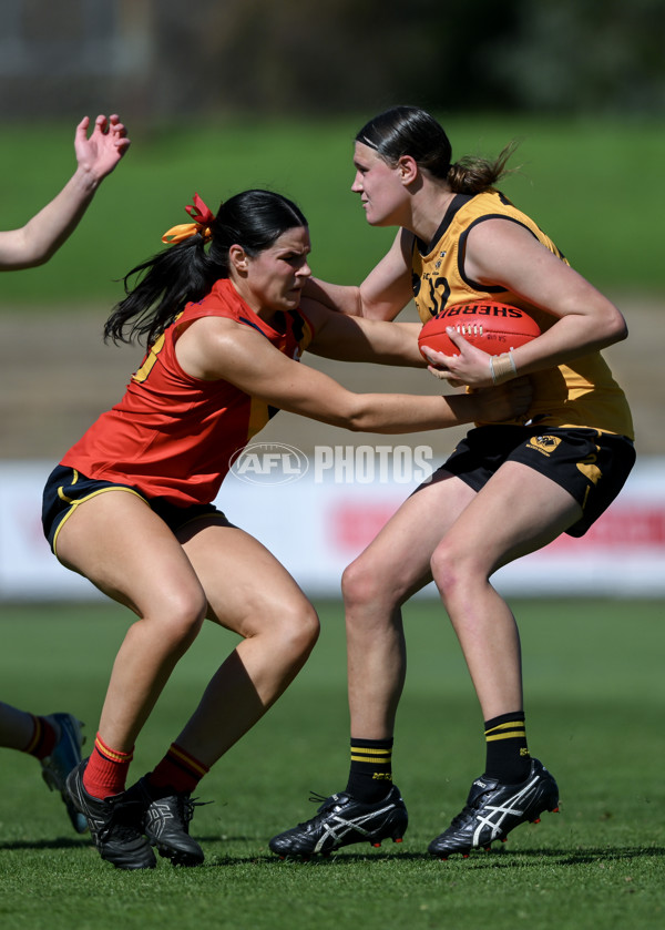 Marsh AFL Championships U18 Girls 2024 - South Australia v Western Australia - A-53346136