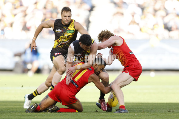 AFL 2024 Round 24 - Richmond v Gold Coast - A-53346137