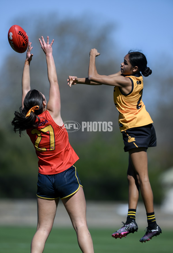 Marsh AFL Championships U18 Girls 2024 - South Australia v Western Australia - A-53346148