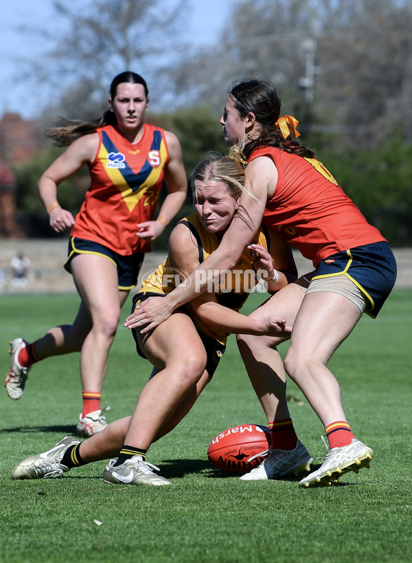 Marsh AFL Championships U18 Girls 2024 - South Australia v Western Australia - A-53346160