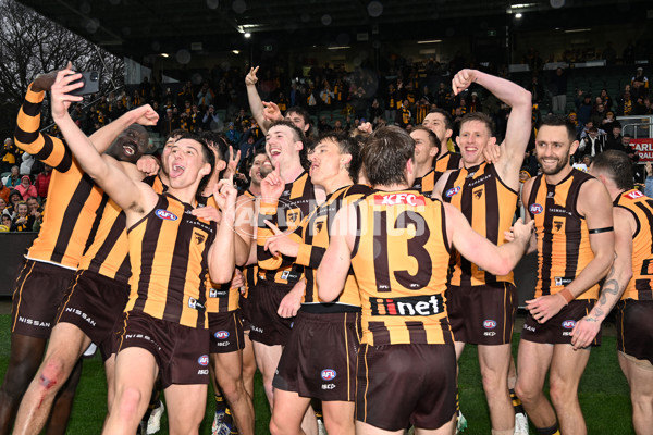 AFL 2024 Round 24 - Hawthorn v North Melbourne - A-53347614