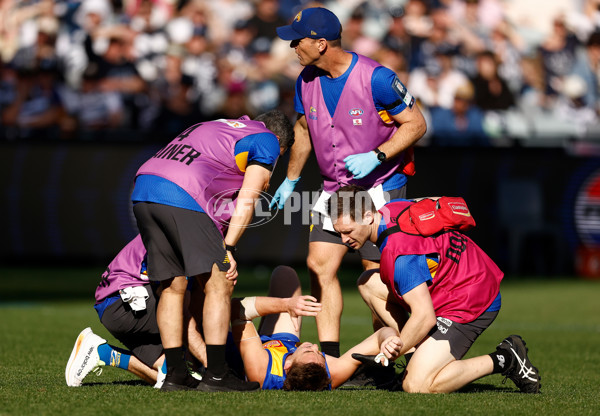 AFL 2024 Round 24 - Geelong v West Coast - A-53347644