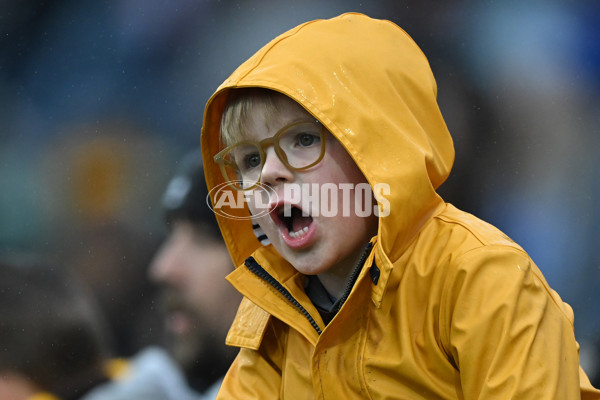 AFL 2024 Round 24 - Hawthorn v North Melbourne - A-53347653