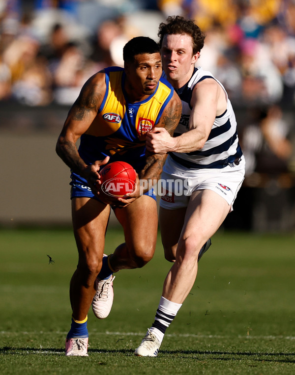 AFL 2024 Round 24 - Geelong v West Coast - A-53347664