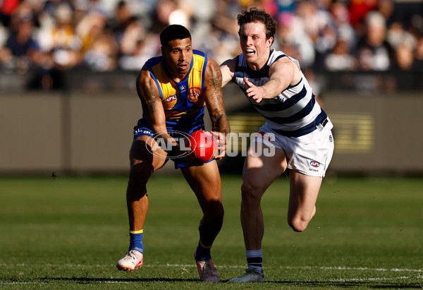 AFL 2024 Round 24 - Geelong v West Coast - A-53347666