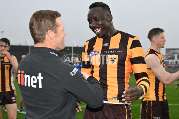 AFL 2024 Round 24 - Hawthorn v North Melbourne - A-53348919