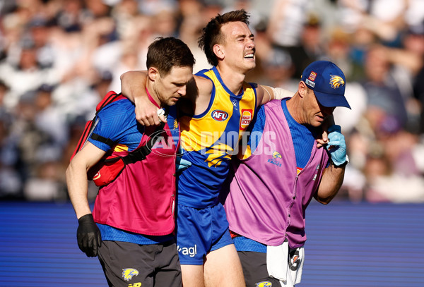 AFL 2024 Round 24 - Geelong v West Coast - A-53348922