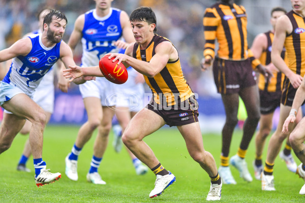 AFL 2024 Round 24 - Hawthorn v North Melbourne - A-53350437