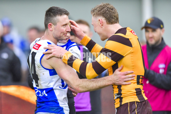 AFL 2024 Round 24 - Hawthorn v North Melbourne - A-53350466