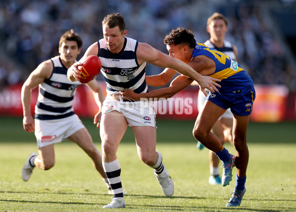 AFL 2024 Round 24 - Geelong v West Coast - A-53350490