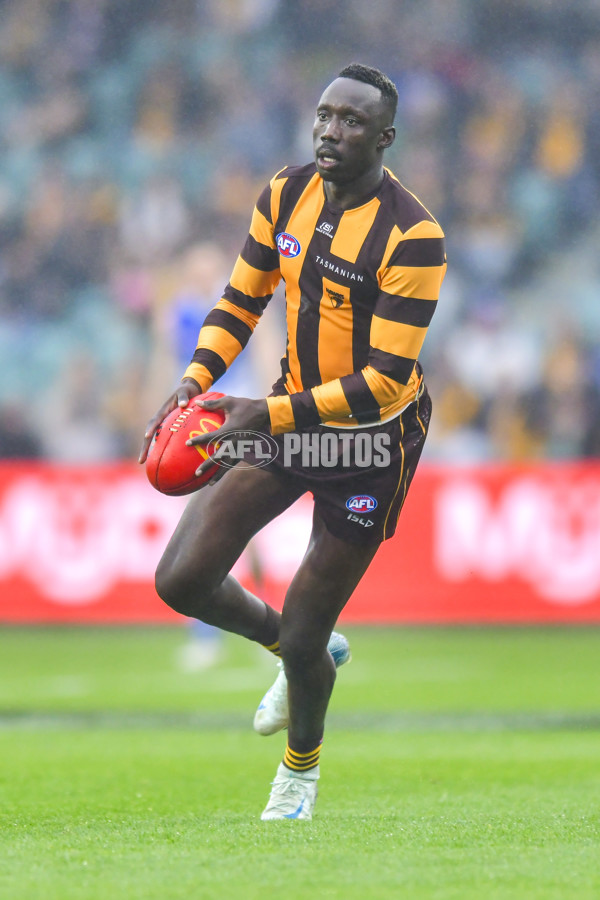 AFL 2024 Round 24 - Hawthorn v North Melbourne - A-53350499