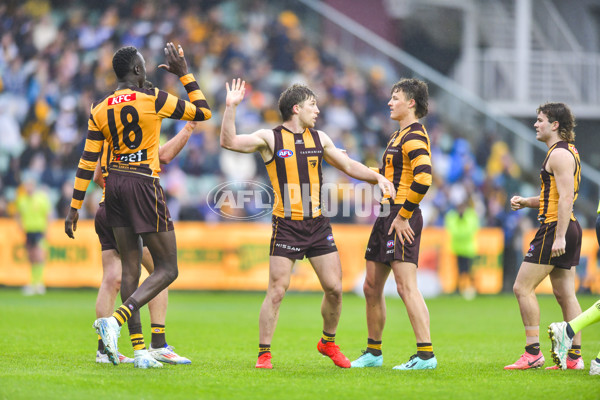 AFL 2024 Round 24 - Hawthorn v North Melbourne - A-53350503
