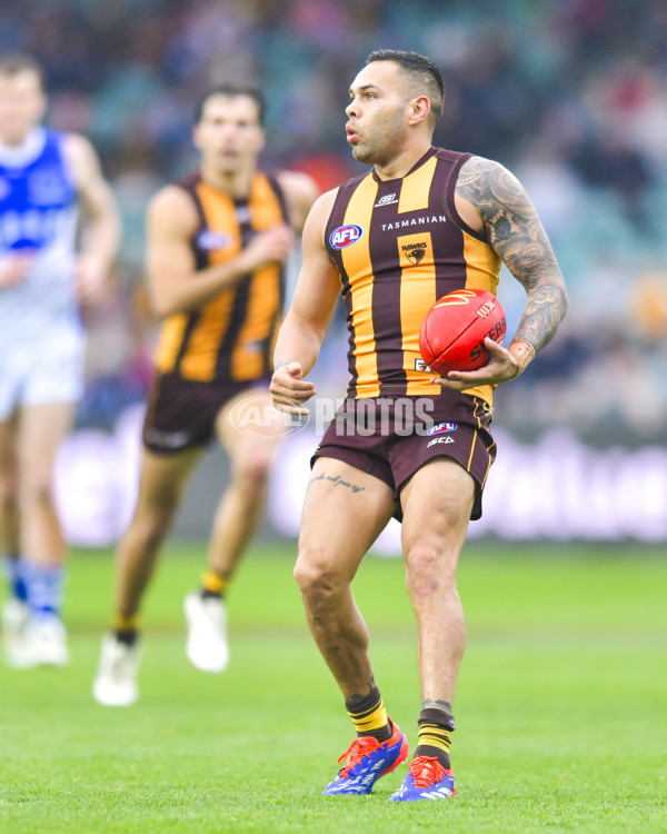 AFL 2024 Round 24 - Hawthorn v North Melbourne - A-53350512