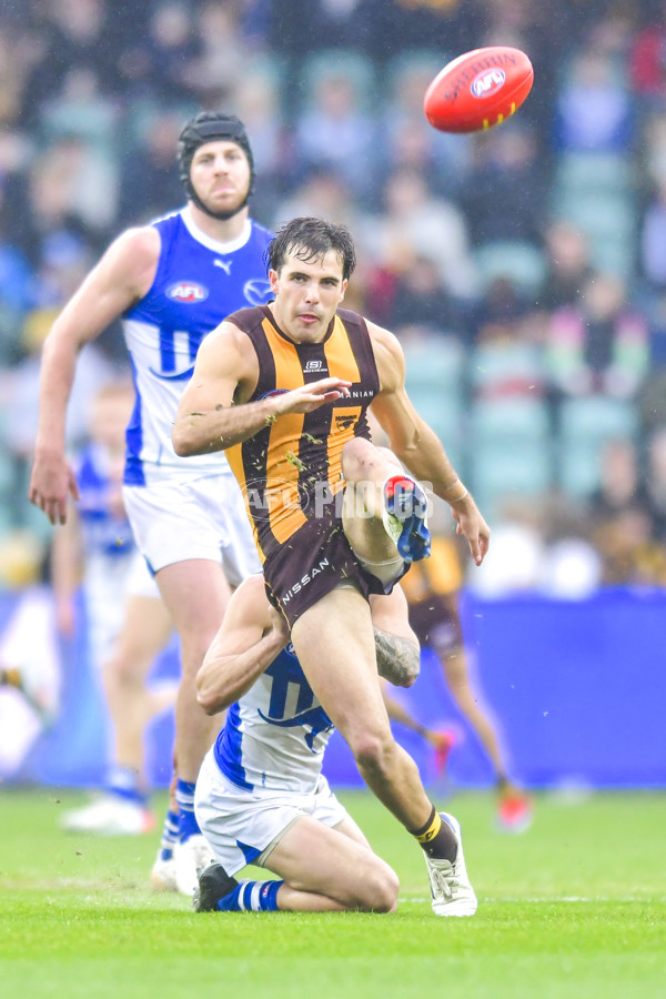 AFL 2024 Round 24 - Hawthorn v North Melbourne - A-53350520