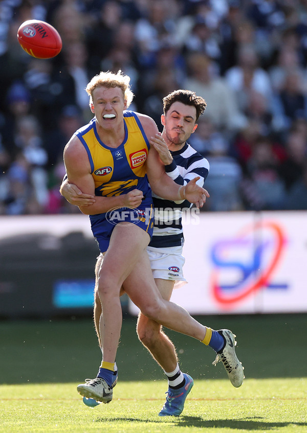 AFL 2024 Round 24 - Geelong v West Coast - A-53351451