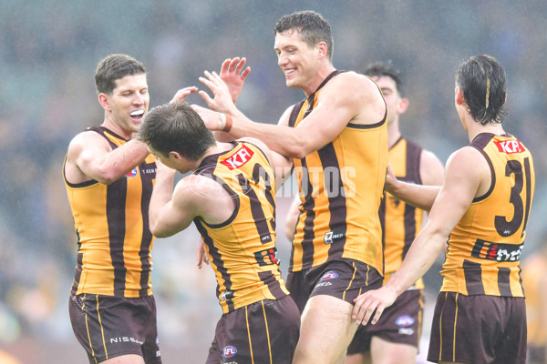 AFL 2024 Round 24 - Hawthorn v North Melbourne - A-53351469