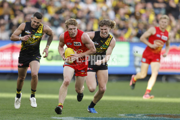 AFL 2024 Round 24 - Richmond v Gold Coast - A-53351474