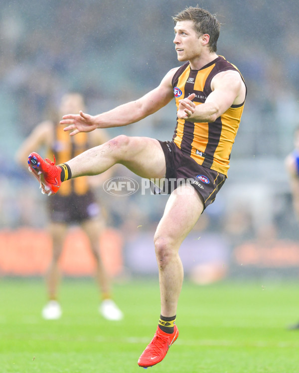 AFL 2024 Round 24 - Hawthorn v North Melbourne - A-53351475