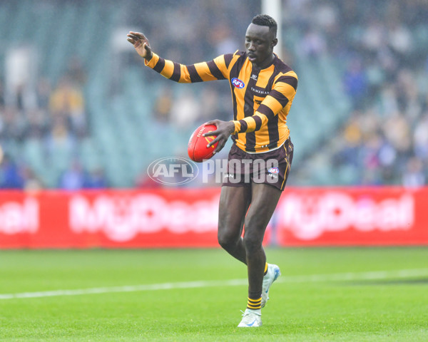 AFL 2024 Round 24 - Hawthorn v North Melbourne - A-53351476