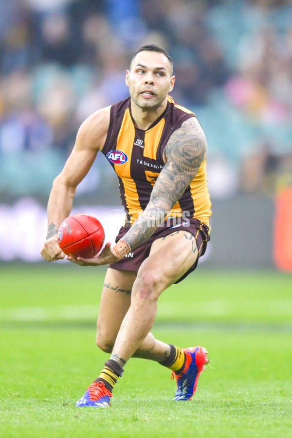 AFL 2024 Round 24 - Hawthorn v North Melbourne - A-53351480