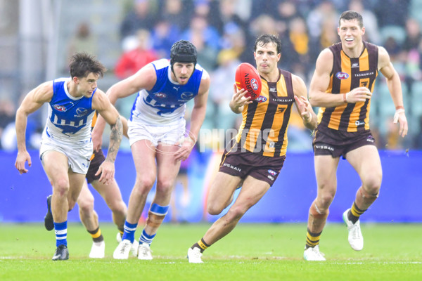 AFL 2024 Round 24 - Hawthorn v North Melbourne - A-53351485