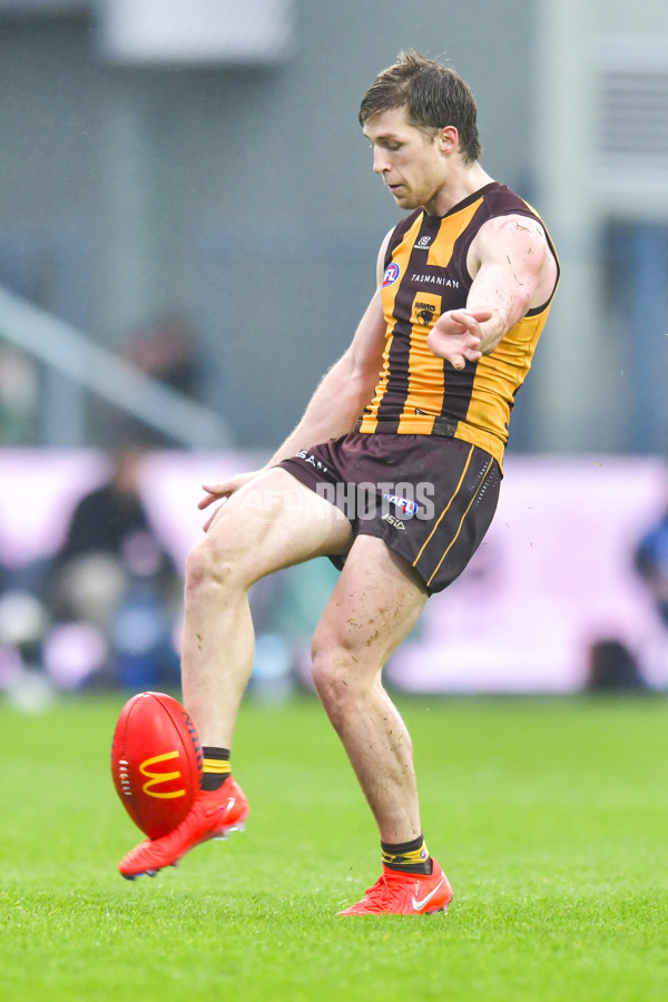 AFL 2024 Round 24 - Hawthorn v North Melbourne - A-53351486