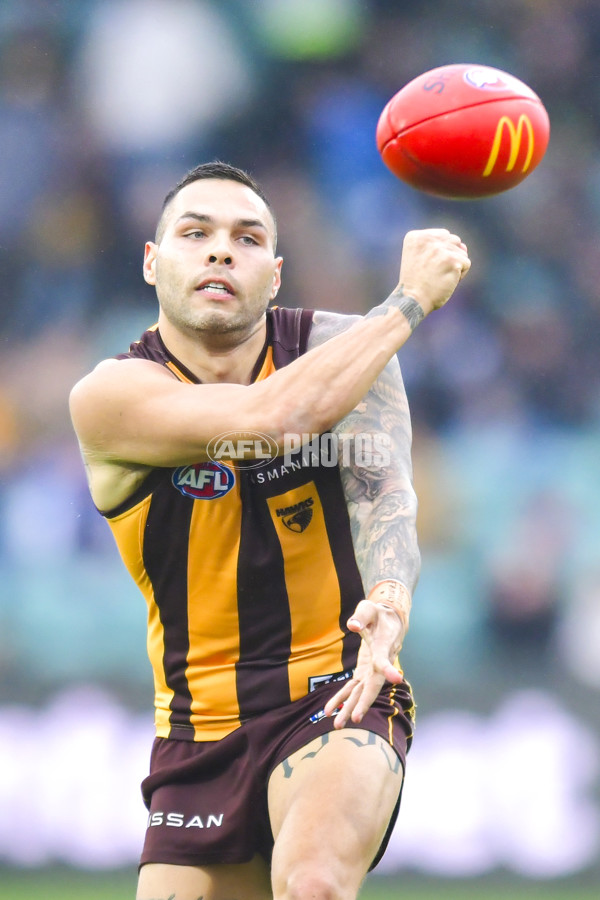 AFL 2024 Round 24 - Hawthorn v North Melbourne - A-53351495