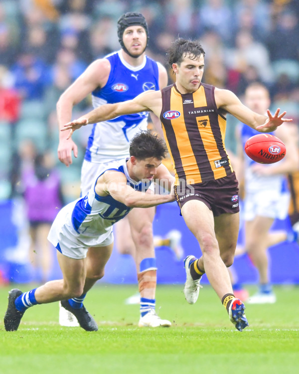 AFL 2024 Round 24 - Hawthorn v North Melbourne - A-53353577