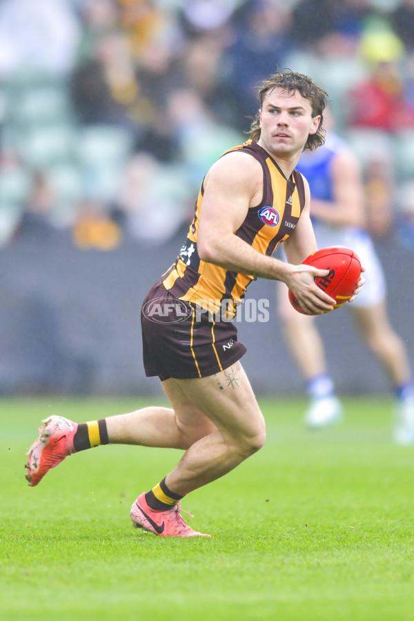 AFL 2024 Round 24 - Hawthorn v North Melbourne - A-53353579