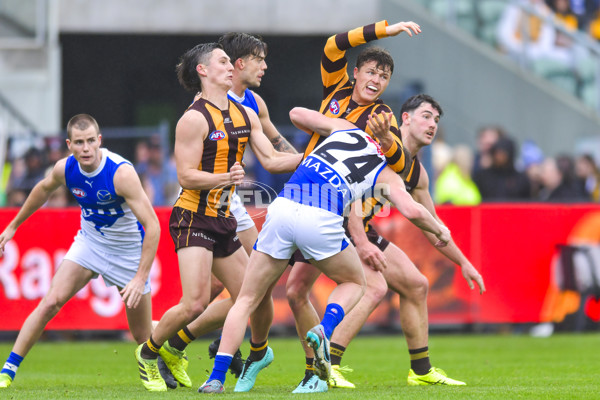 AFL 2024 Round 24 - Hawthorn v North Melbourne - A-53353580