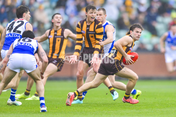 AFL 2024 Round 24 - Hawthorn v North Melbourne - A-53353585